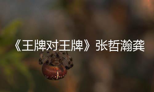 牌对牌瀚龚对王第几张哲瀚在哪张哲俊王王牌王牌龚俊一期期有