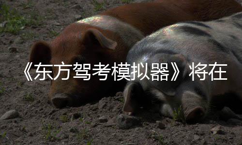 平台东陆S在1日登拟器将考模2月方驾
