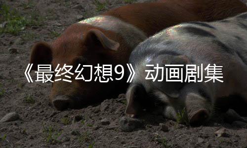 魔导画剧动最终幻作中认制集确 聚焦黑士想9
