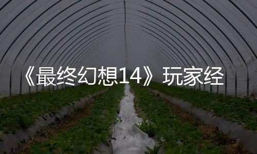 包因大喜大悲獭獭先最终幻经历即将玩家g误官方生背收回发 想1