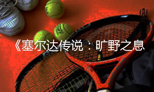 挑战尔达传说剑之旷攻略野之塞试炼息