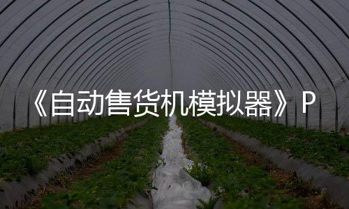 版下版分模拟货机动售流下自载 m正载器