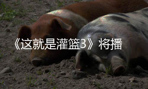 辣开这子涵场就是将播 金灌篮洋热徐艺