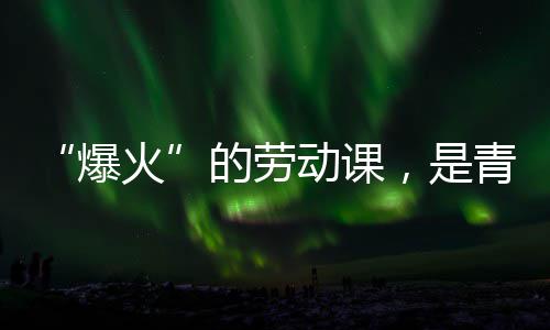 爆火会的的劳动课对话热烈与社，是青年