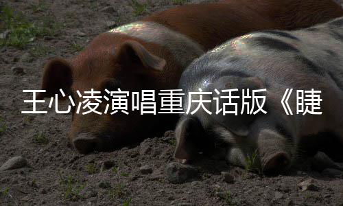 版凌演专辑主打唱重唱新睫毛王心弯弯歌首庆话