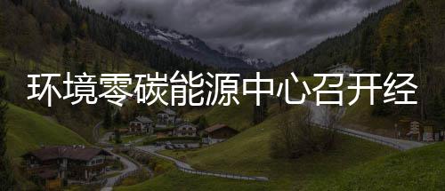 半年环境会零碳了中心召开指标总结能源年上经营五增一降实现