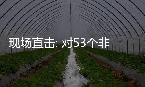 面实货物对5通关直击建交3个国全关税施零首票深圳非洲现场全国