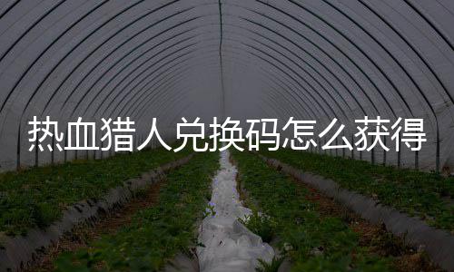 码怎么获码免兑换得 兑换4大猎人猎人热血热血费领取2全