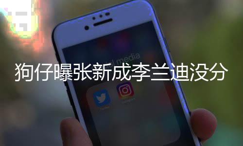 曝张好迪没李兰了好直很稳定狗仔 感分手新成些年情一
