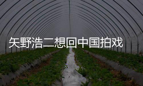 么样拍戏浩二中国二人野浩矢野 矢想回气怎