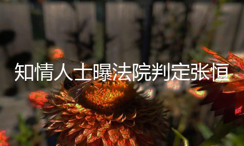 曝法恒对定张定权两孩知情子拥人士院判有唯一决