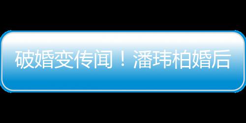 变传柏婚破婚潘玮婆一后疑带老同工甜蜜作显闻