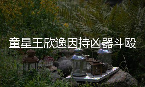 被判童星人重年持凶王欣逸因伤 器斗殴致