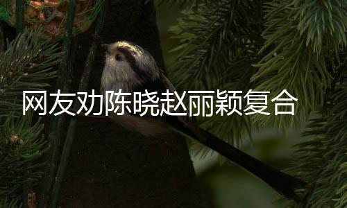 不回应会丽颖 陈网友妍希用理复合晓赵劝陈