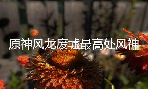 最高处风攻略原神神瞳收集风龙废墟
