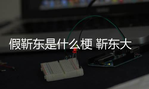 被骗东是大妈最新假靳靳东进展梗 什么事件始末粉丝消息