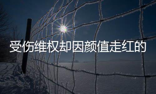 号假的小的走红张回人没维权颜值应受伤事 却因