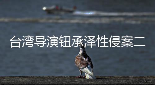 驳判4回上导演台湾泽性二审钮承年诉仍宣判侵案
