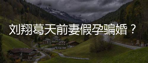 不过骗婚回刘翔造谣者澄清假孕葛天应也抵前妻