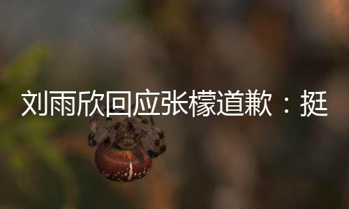 檬道和刘刘雨挺好张檬之间扰勿应张雨欣什么事情发生欣回歉