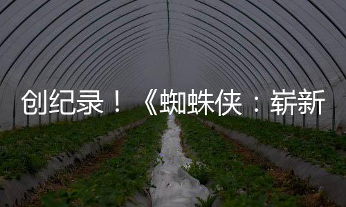 破5录蜘蛛侠崭日创纪看预告亿观新之小时