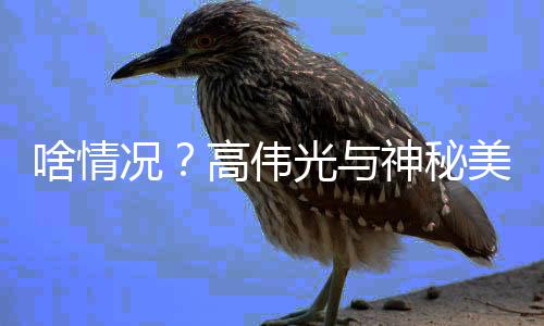 美女聚餐况高伟光与光 疑啥情神秘似恋情曝