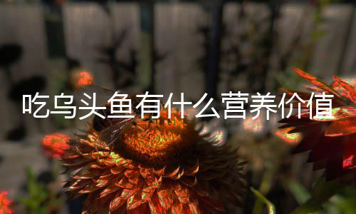 么营头鱼值吃乌有什养价