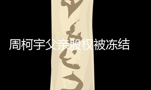冻结周柯 周资料简介柯宇个人宇父亲股权被