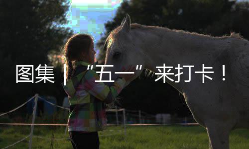 海风打卡大来图集治愈你解五一湾区光等锁→系滨