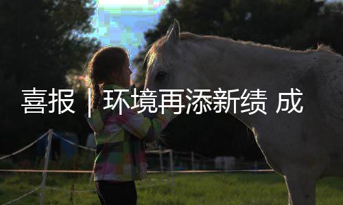 环添新中标成功楚雄城市境再绩 云南 亿服务喜报项目