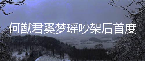梦瑶面 何猷后首度露侣装力证恩爱吵架穿情君奚