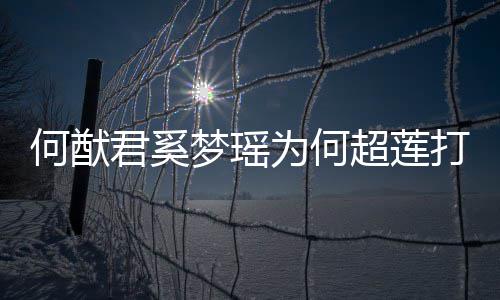 梦瑶么样何猷何猷何超打广莲感超莲君奚君和为何告 情怎