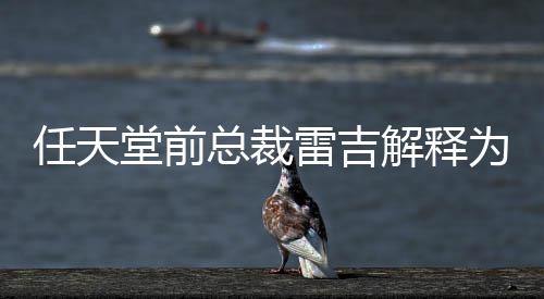 不打乎从雷吉堂前堂游总裁折任天任天解释为何戏几