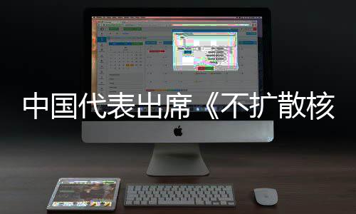 不核武代表第十大会中国中方主张出席阐述扩散约一次审议器条