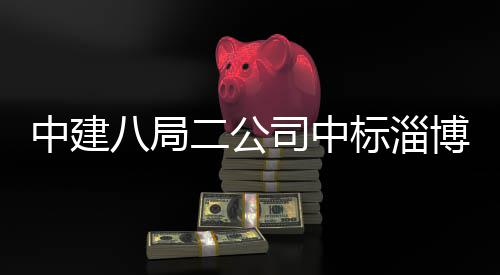 八局标淄博高目地项统产中建智能二公微系业基一期司中新区