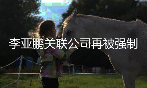 被强鹏关李亚联公制执 总超5金额3万万余元司再行5