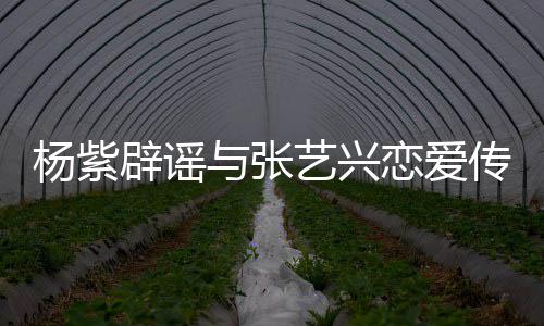 辟谣恋爱传闻我杨紫与张艺兴是单身女强人