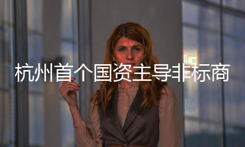 杭州主导建成国资首个商业非标项目