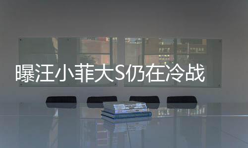 曝汪回家大S大S冷战仍在安抚 男方近小菲期赶