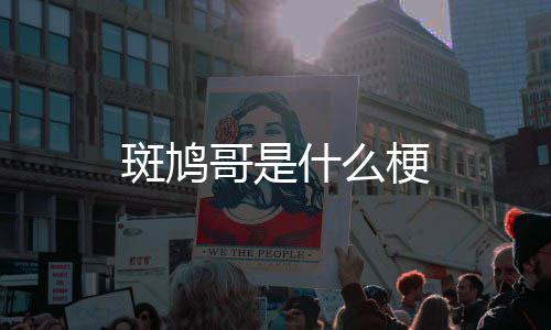 斑鸠哥是梗什么