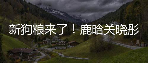 帽暗粮来了鹿晗彤戴爱戳戳关晓新狗秀恩情侣