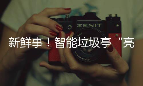 垃圾亮相亭智能川事陕新鲜西铜