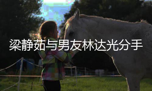 没 梁静林达梁静茹与茹伤男友聚好文好光分感发手了散