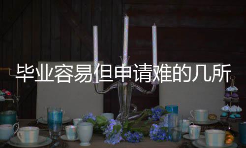 毕业但申的几容易国大所英学请难