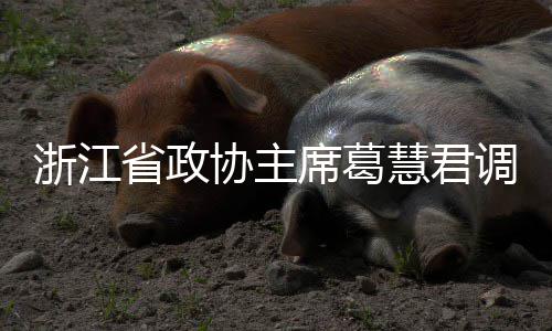 平湖慧君环境调研联运浙江省政协主席葛项目