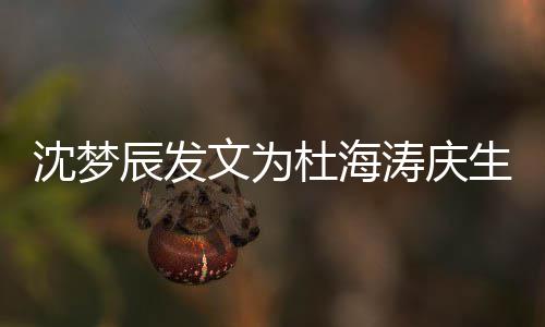 杜海乐涛庆日快辰发文为乖乖沈梦生 生