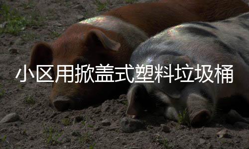 垃圾桶盖式用掀塑料小区