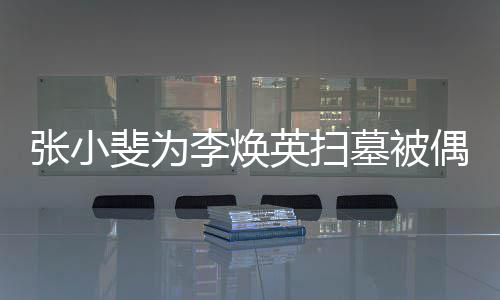 墓被丹全李焕张小程接 姐姐贾英扫送斐为偶遇