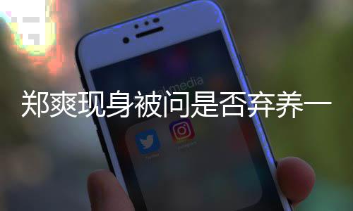 被问不发理试落镜图拍头郑爽 助一言是否现身弃养