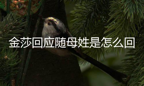 回应回事怎么金莎 金随母莎为什么随母姓是姓